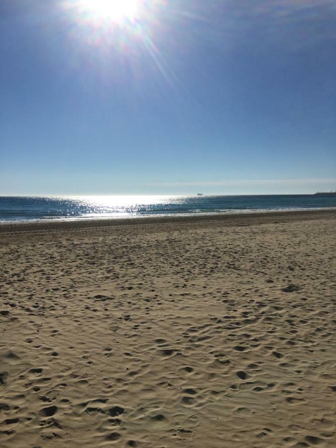 Luxury 12Th Floor Beachfront El Campello Bagian luar foto